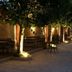 Övrigt