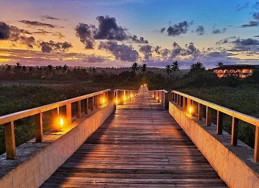 Utomhus Foto