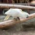 Övrigt