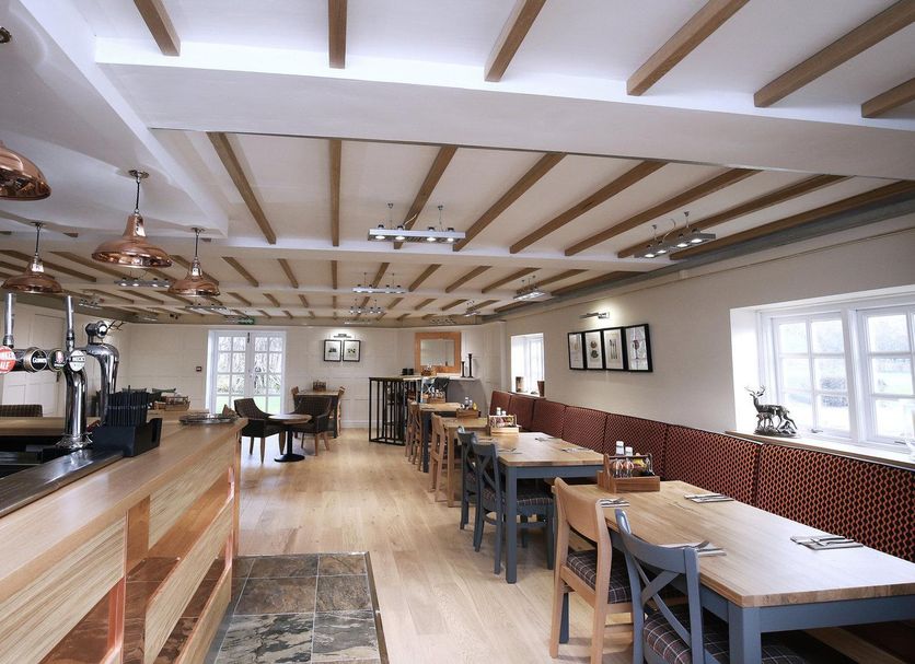 Restaurang Foto