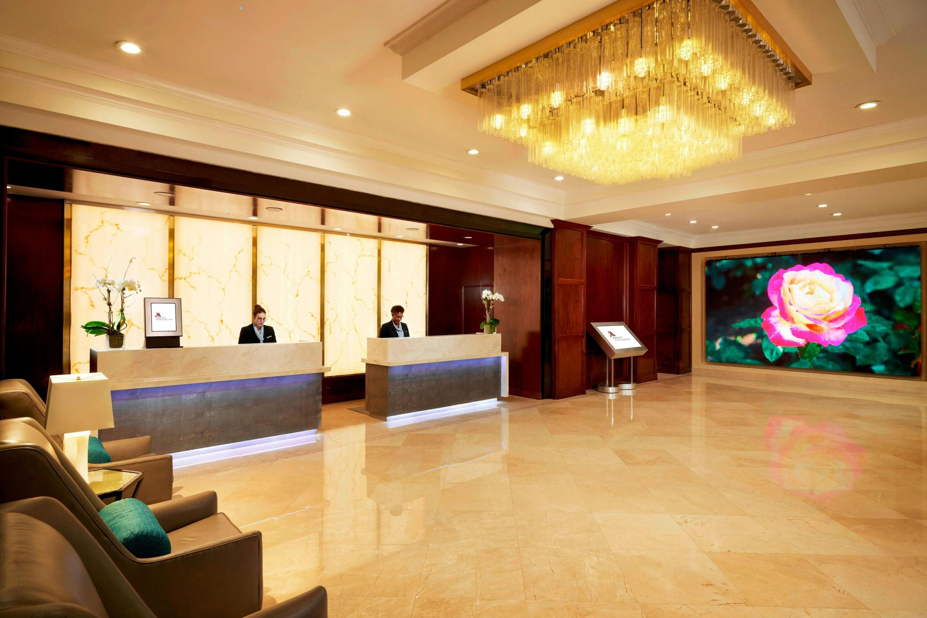 Reception