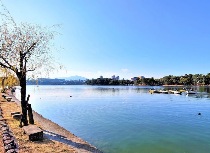 Utomhus Foto
