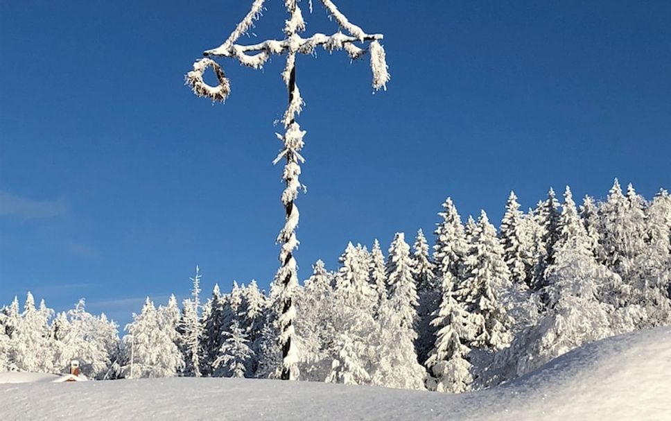 Byggnad Foto