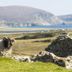 Övrigt