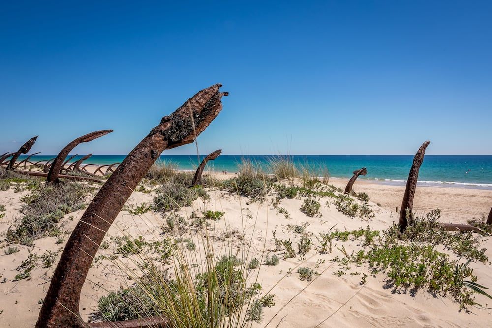 Strand