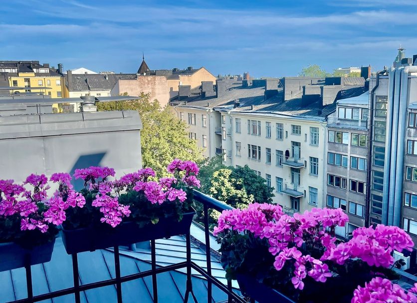 Övrigt Foto