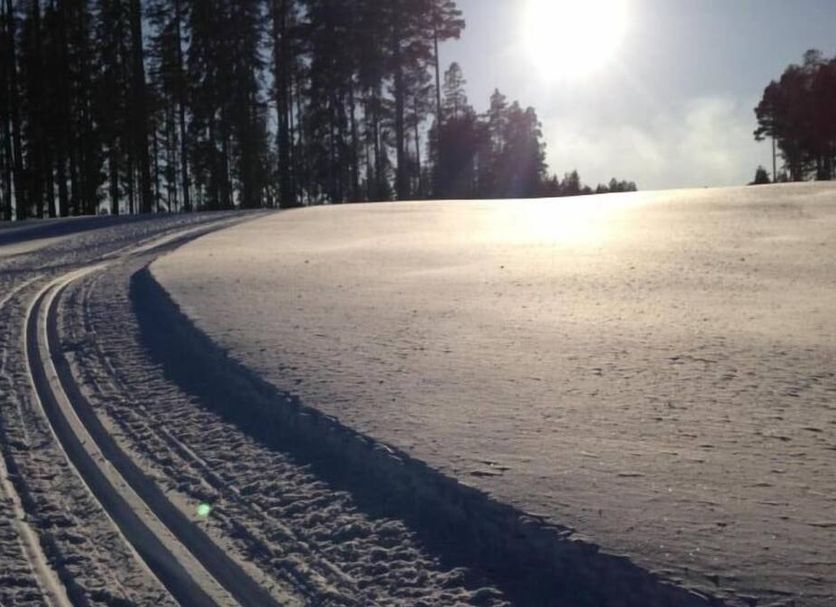 Övrigt Foto
