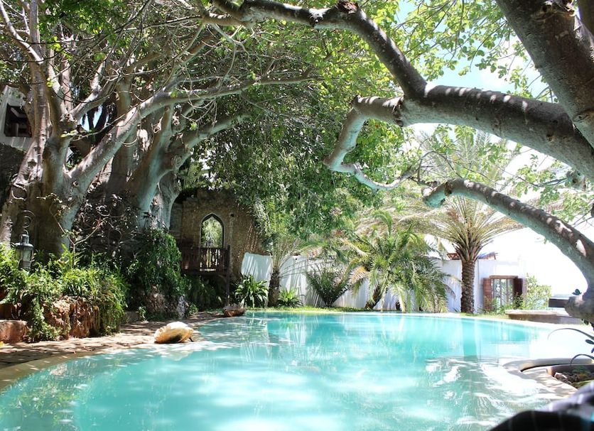 Pool Foto