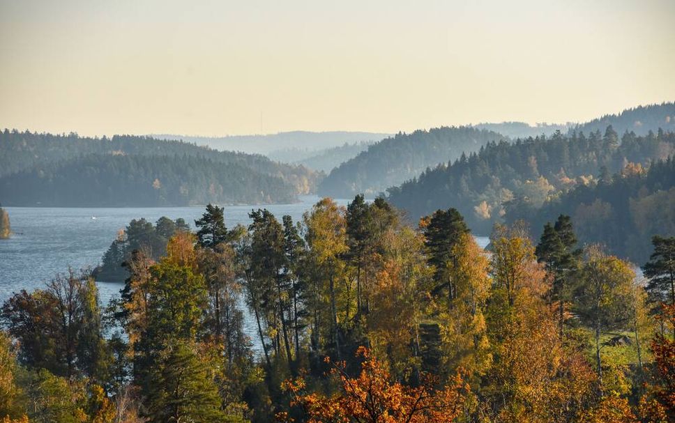 Byggnad Foto