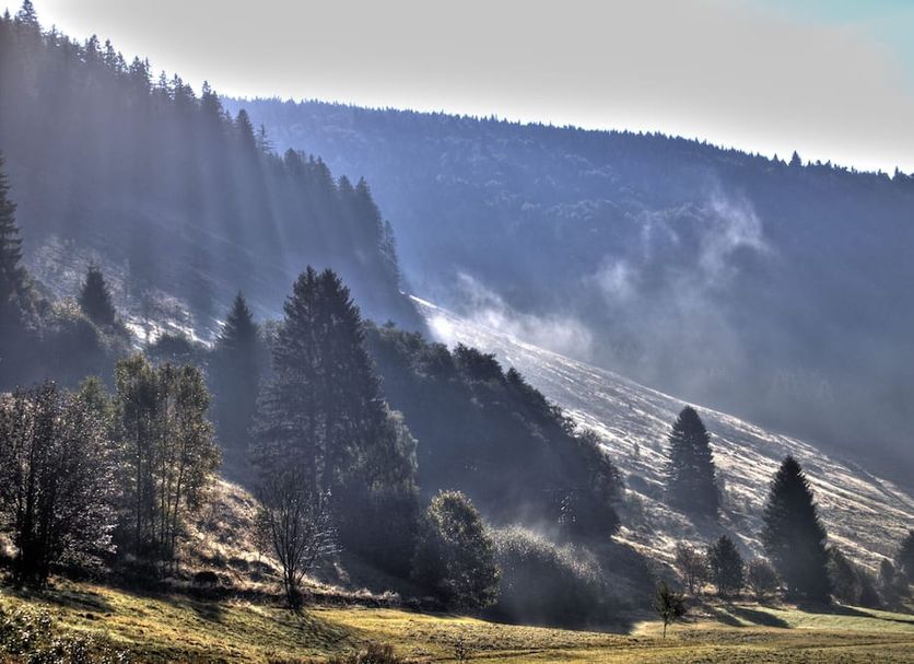 Utomhus Foto