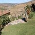 Utomhus