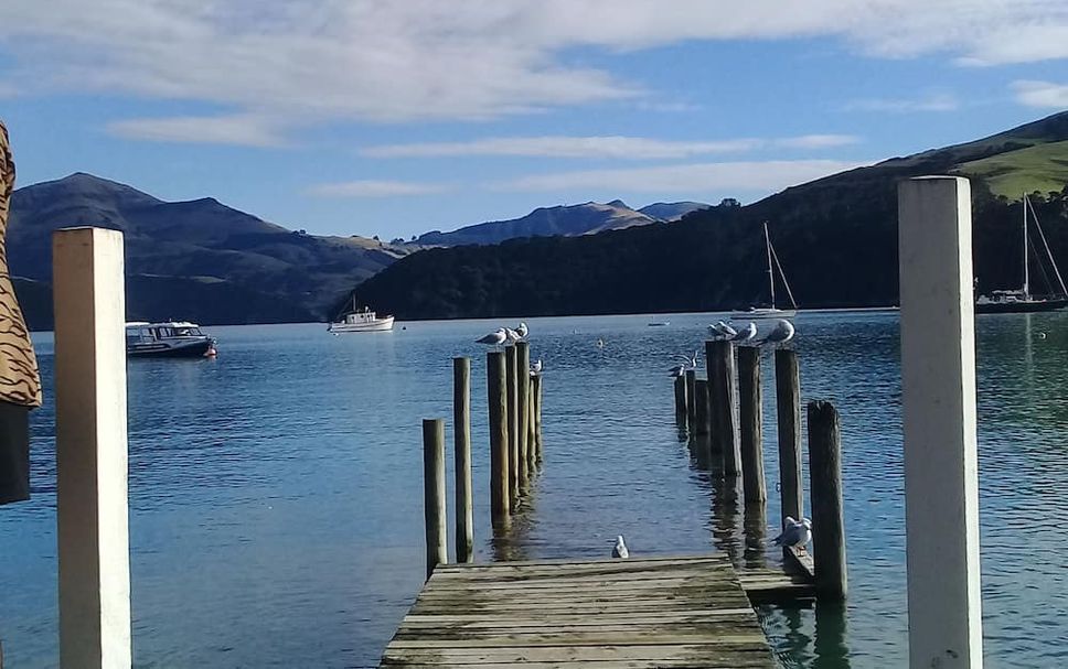 Övrigt Foto