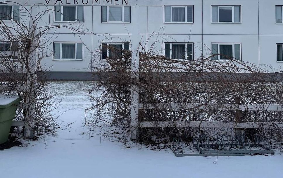 Byggnad Foto