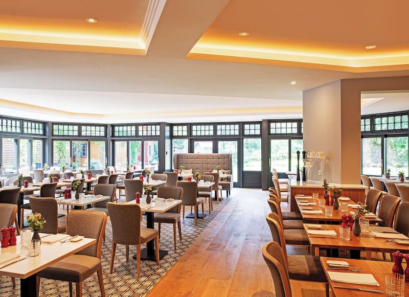 Restaurang Foto