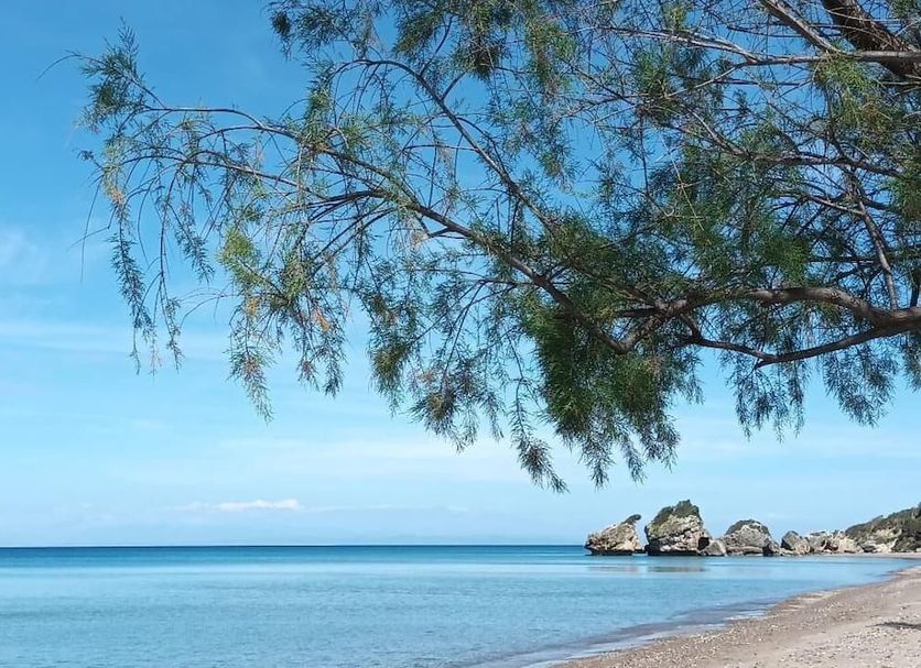 Strand Foto