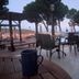 Övrigt