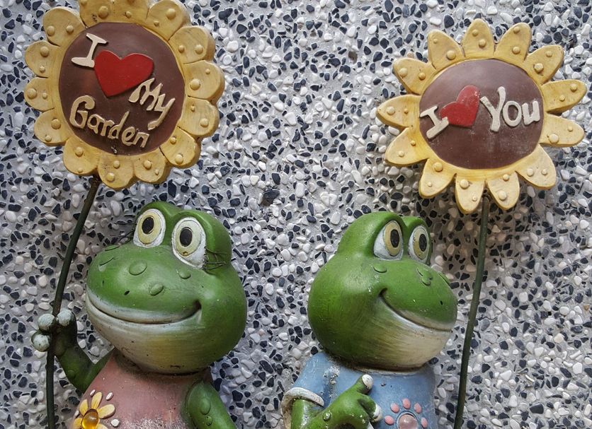 Byggnad Foto