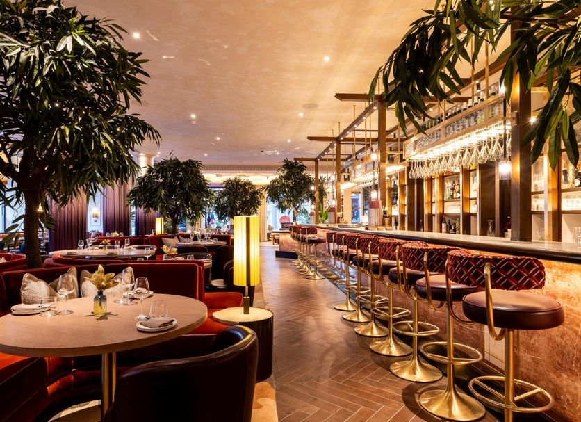 Restaurang Foto