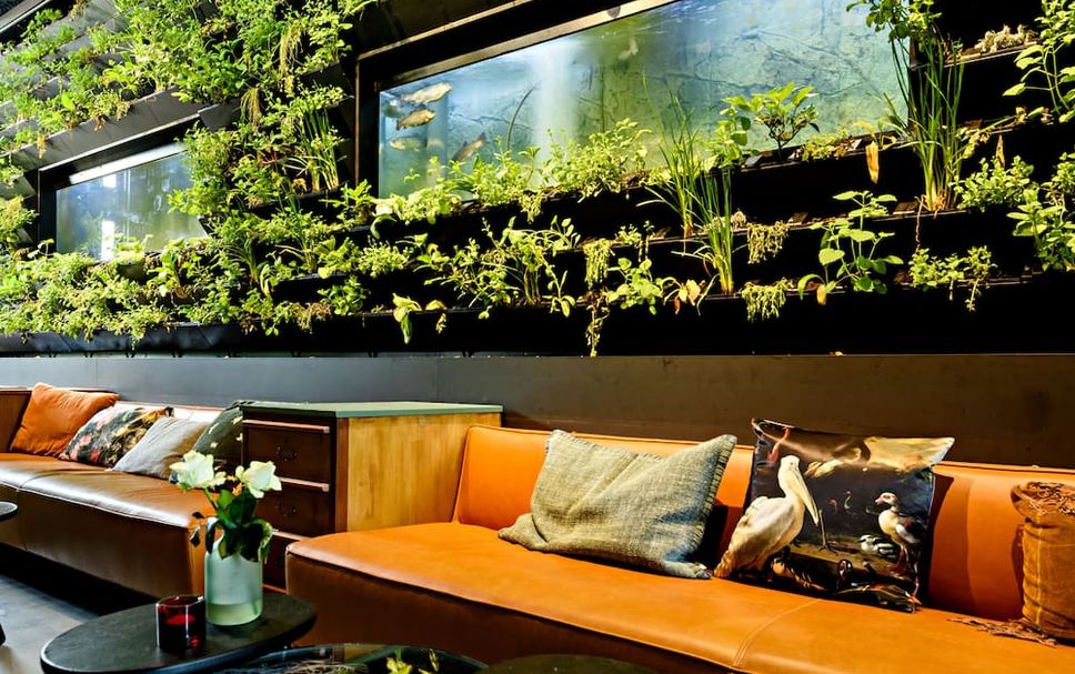 Lounge Foto