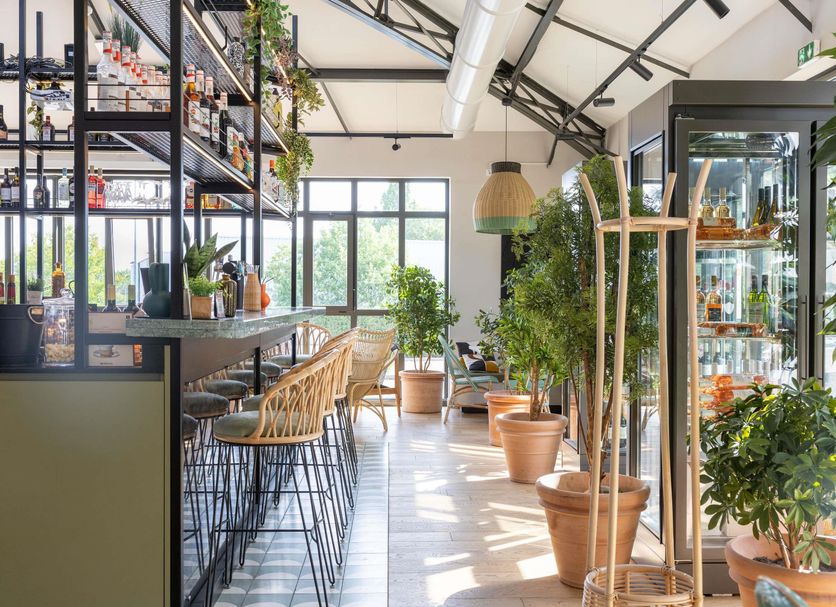 Restaurang Foto
