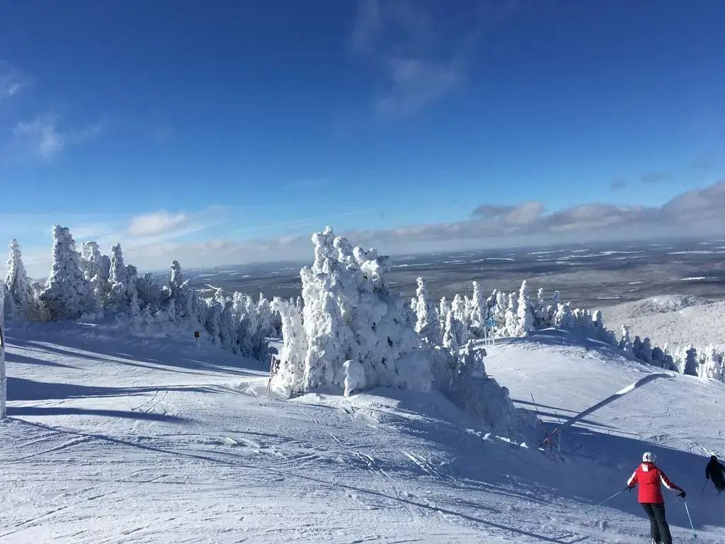 Övrigt Foto