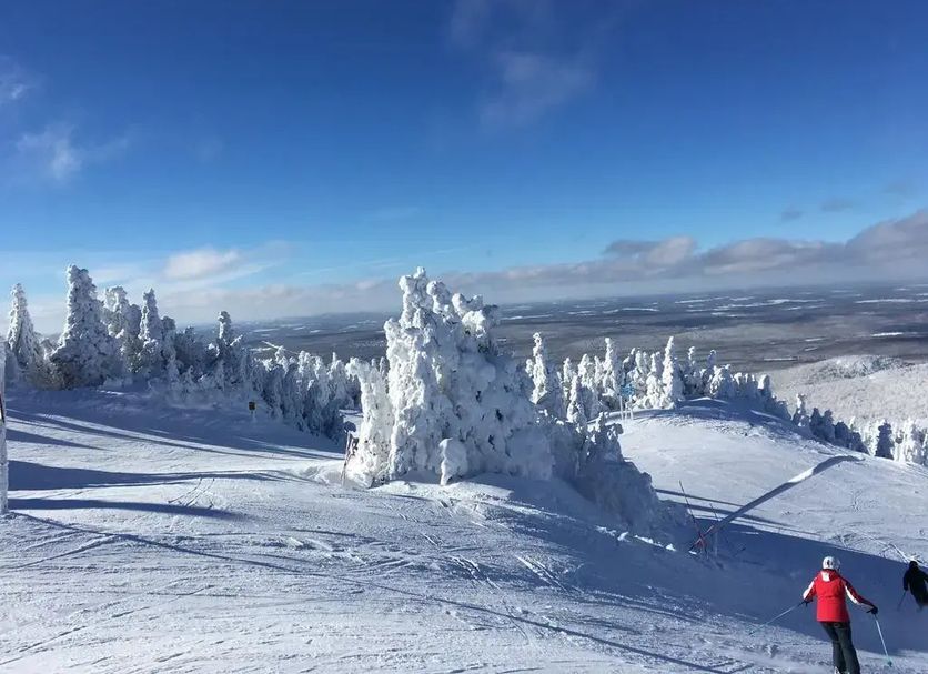 Övrigt Foto