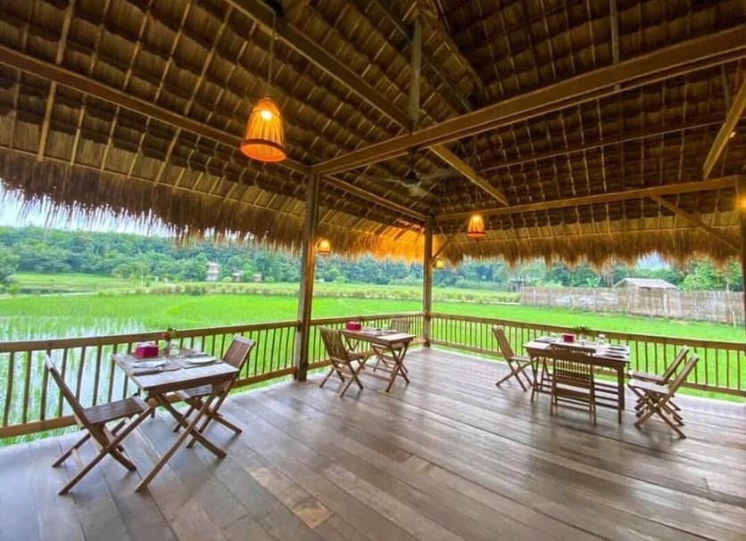 Restaurang Foto