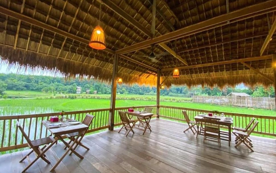 Restaurang Foto