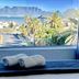 Övrigt