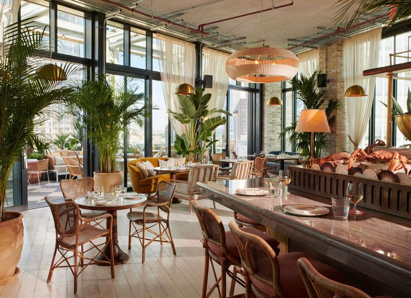 Restaurang Foto