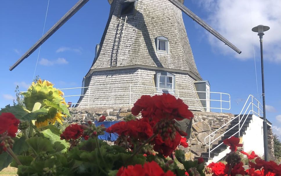 Byggnad Foto