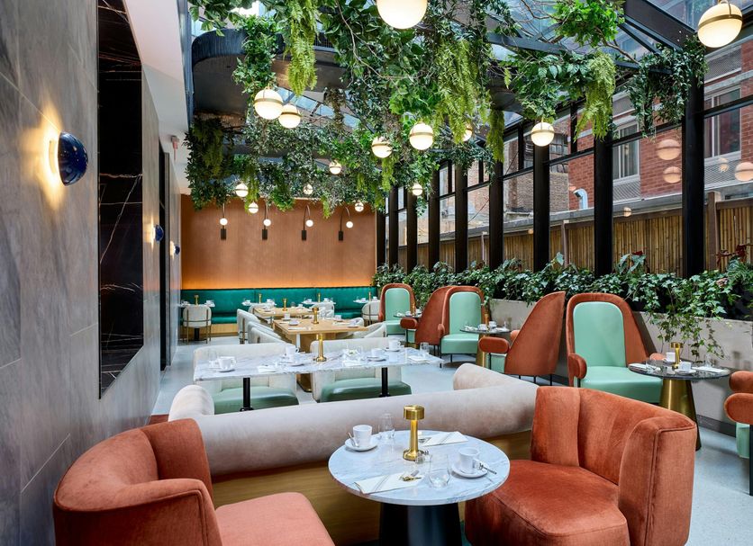 Restaurang Foto