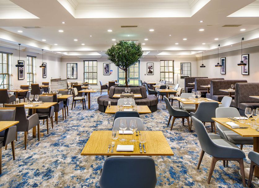 Restaurang Foto