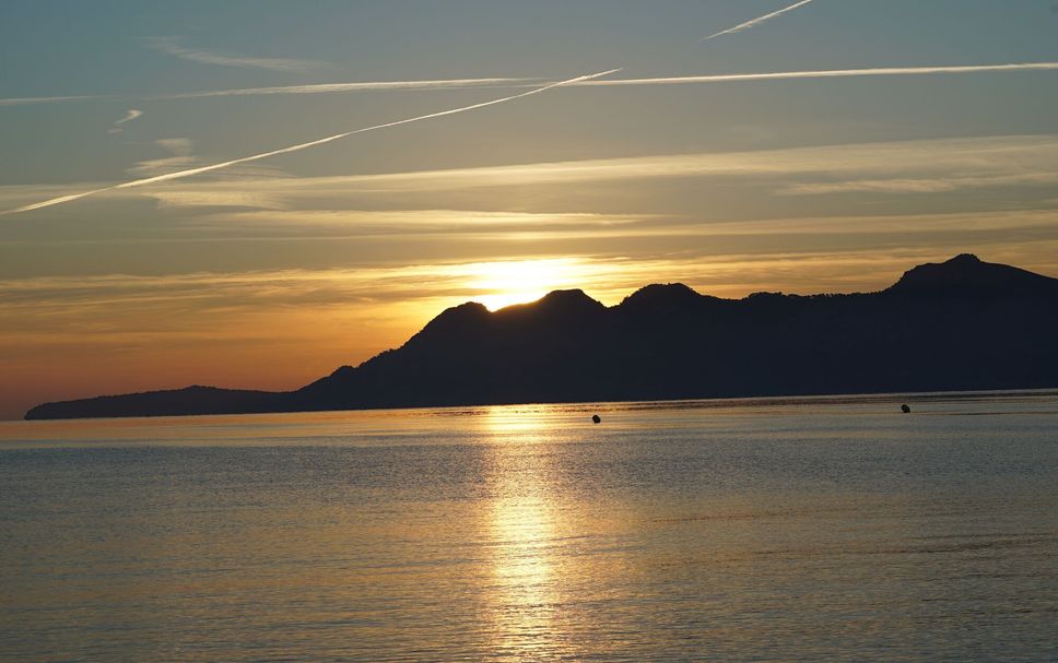 Övrigt Foto
