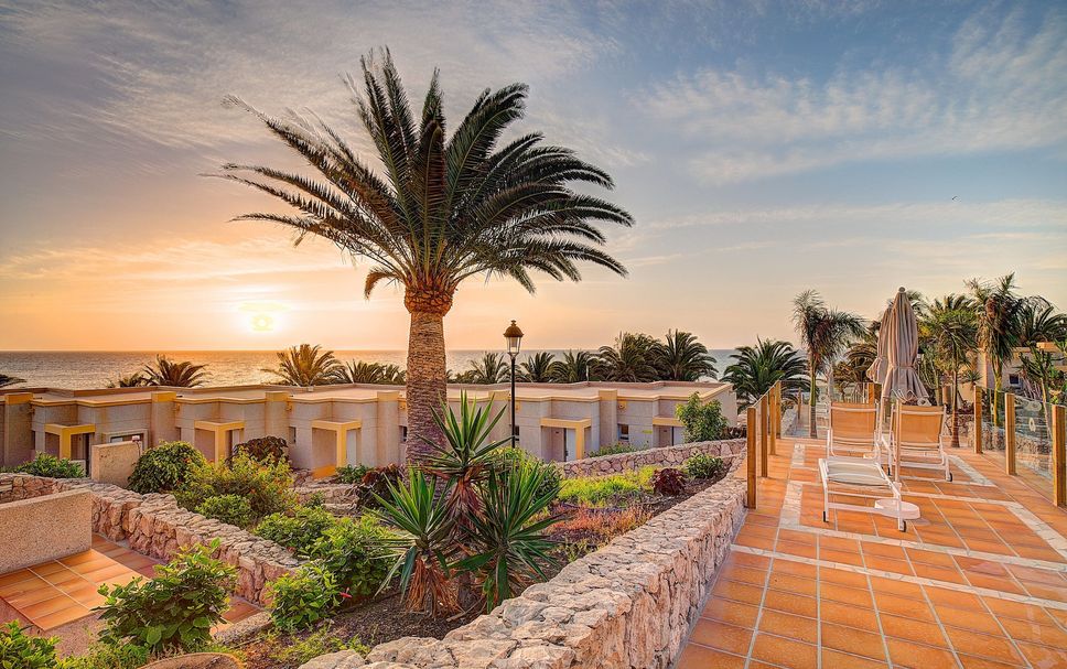 Övrigt Foto