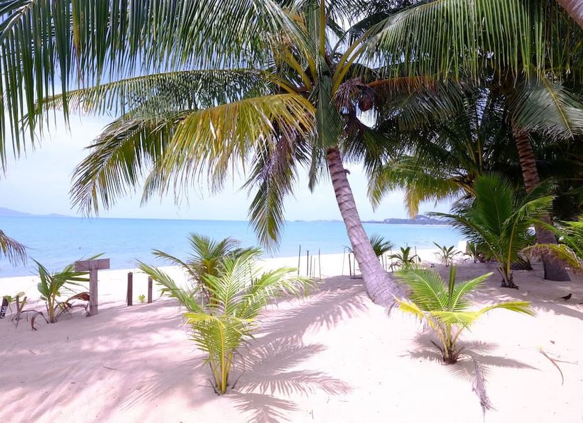 Strand Foto