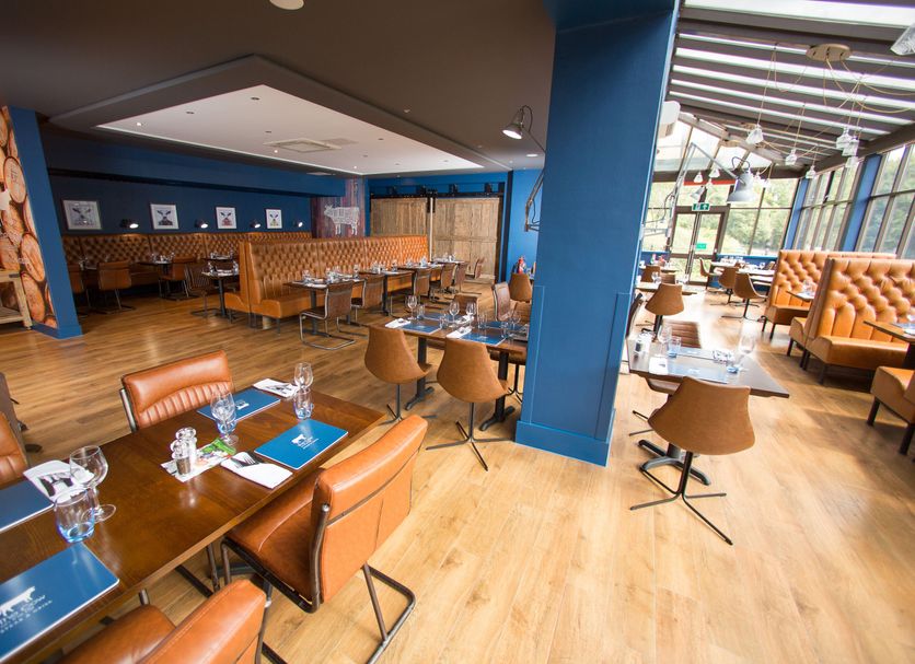 Restaurang Foto