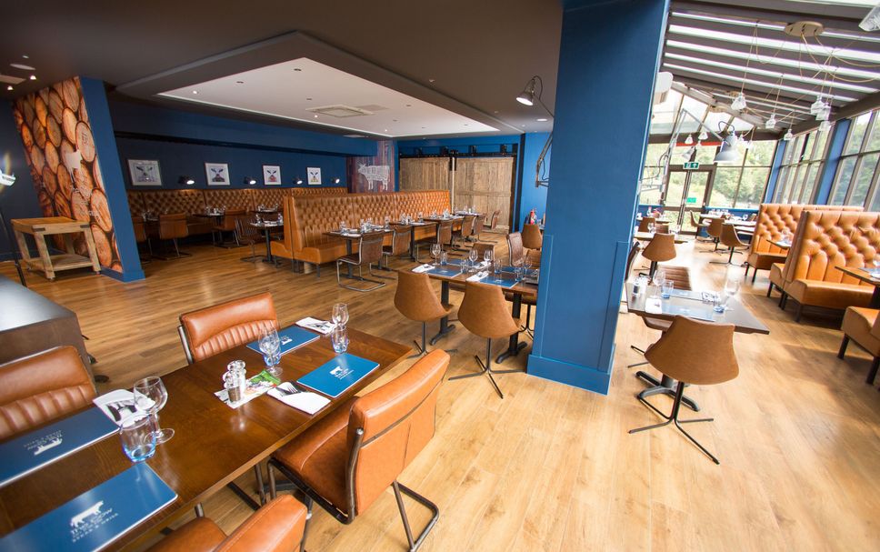 Restaurang Foto