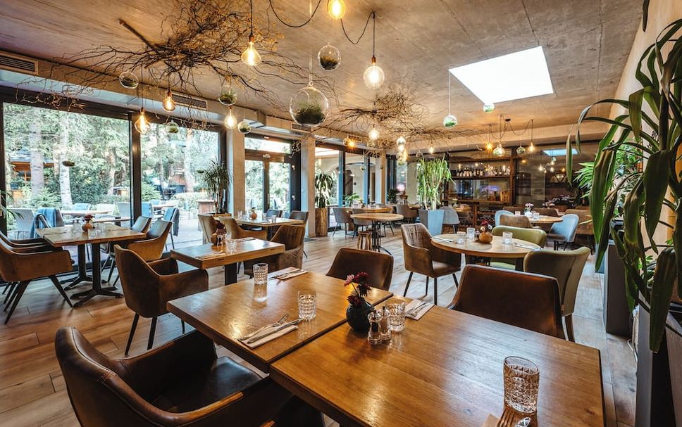 Restaurang Foto