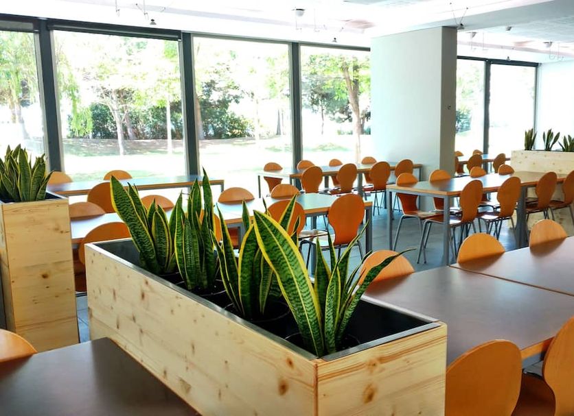Restaurang Foto