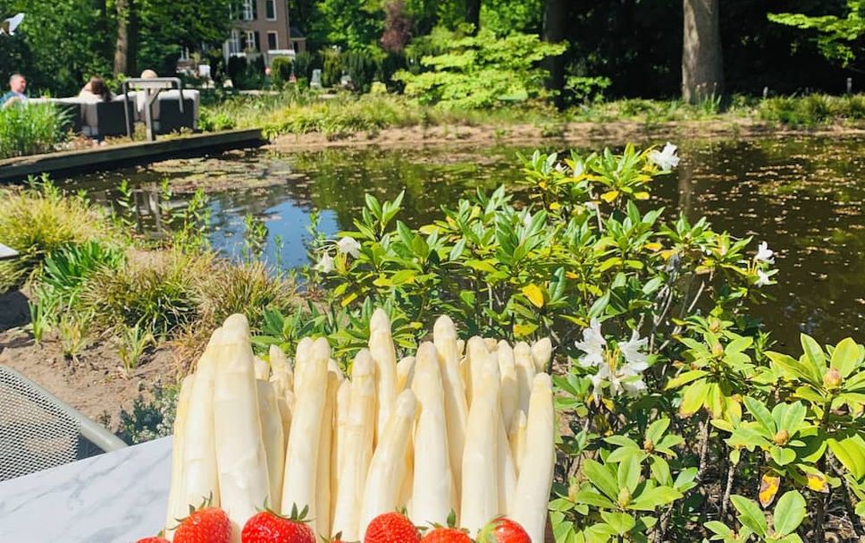 Övrigt Foto