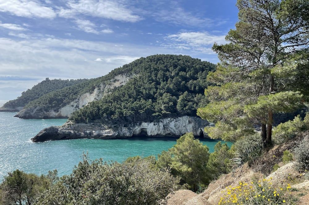 Utomhus Foto
