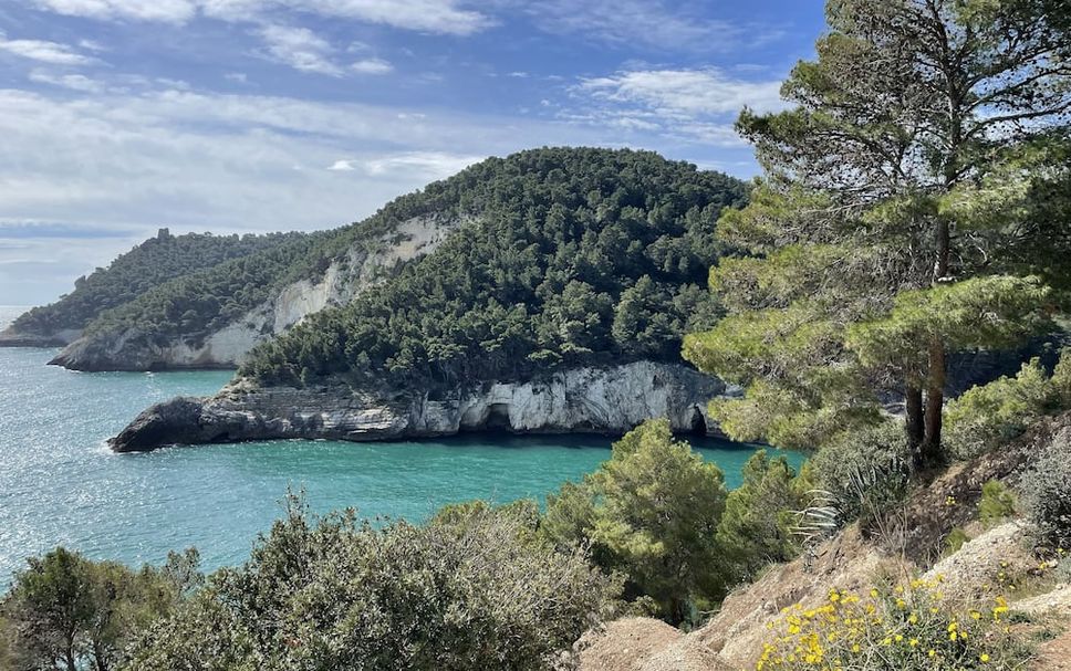 Utomhus Foto