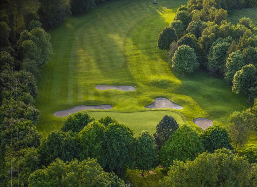 Golfbana Foto