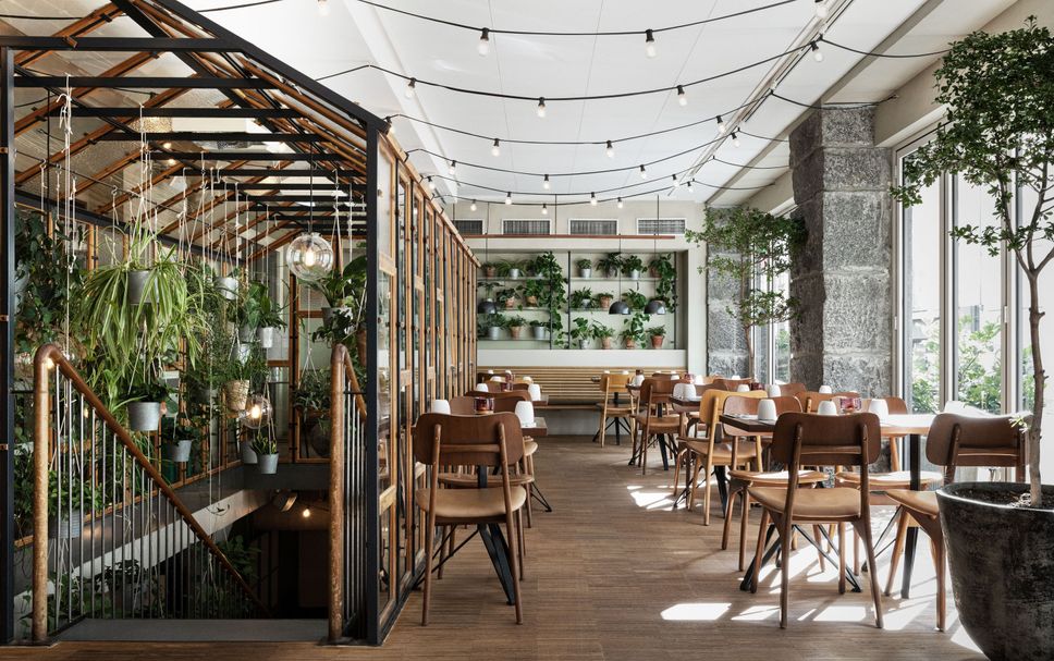 Restaurang Foto
