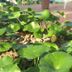 Utomhus