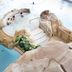 Övrigt