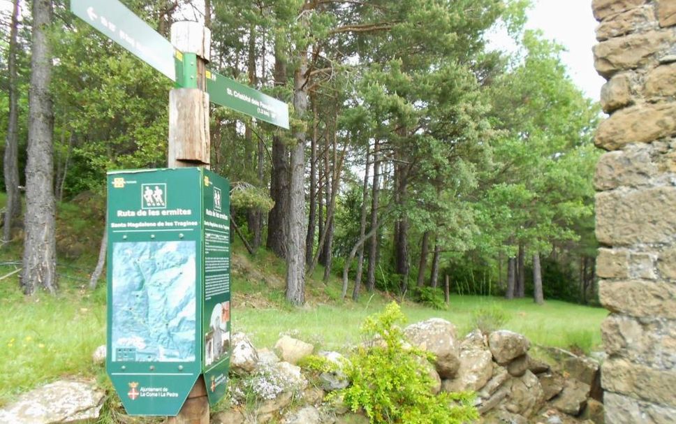 Utomhus Foto