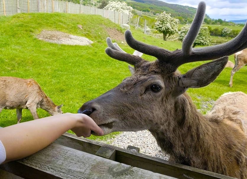 Övrigt Foto