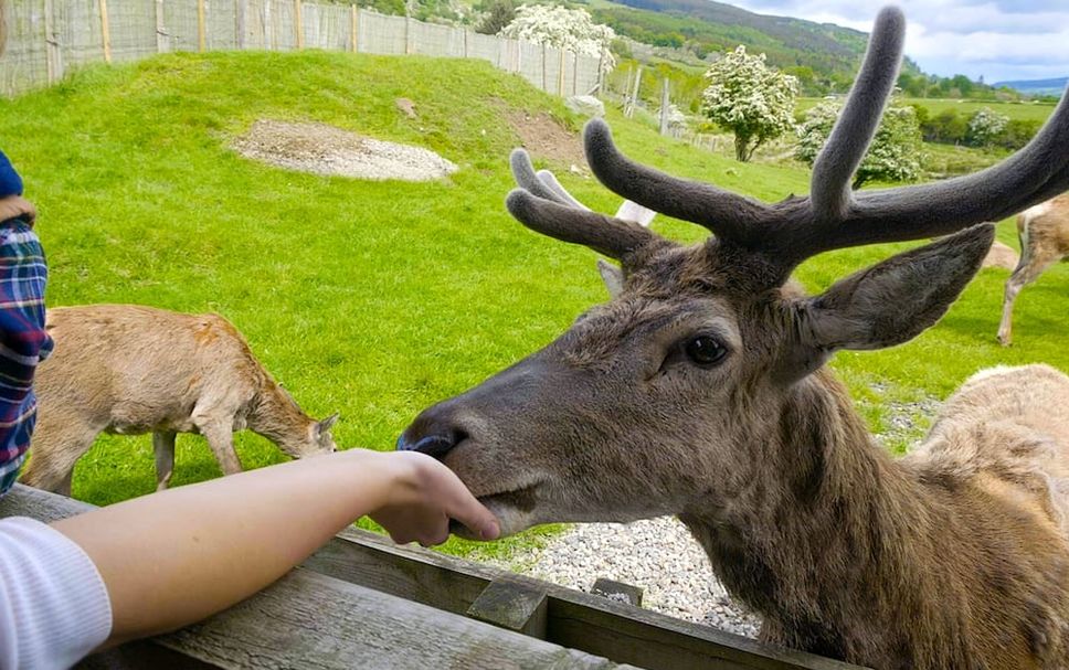 Övrigt Foto
